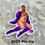 Pin-up Sticker 4 Pack