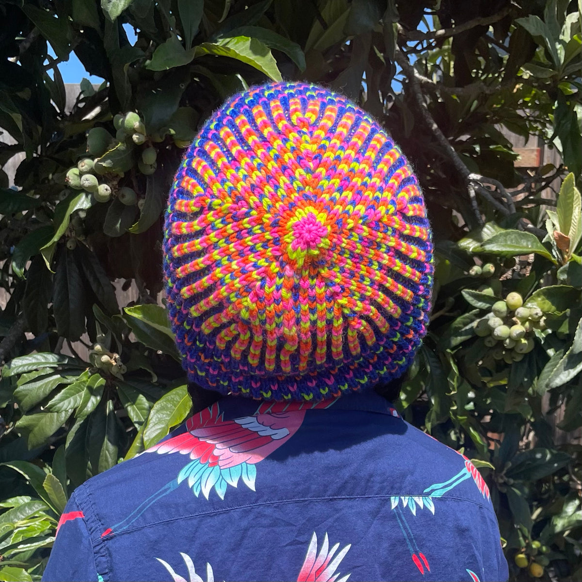 Pattern: Pentagon Fade Brioche Beanie – Firebird Yarns